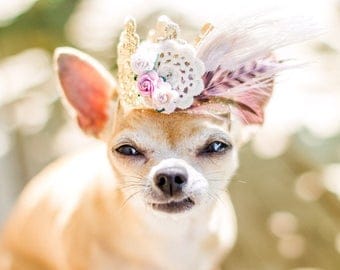 Dreamcatcher lace crown headband for small dog cat pet || boho feather crown || photography prop