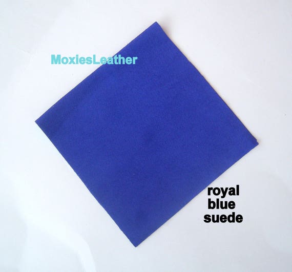 suede leather polish blue