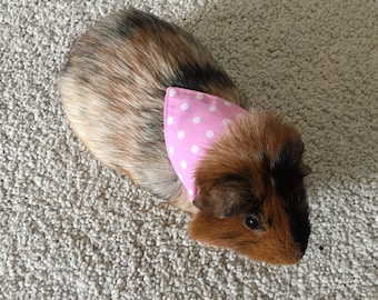 Bunny rabbit / guinea pig bandana - dotty or stripey pastels