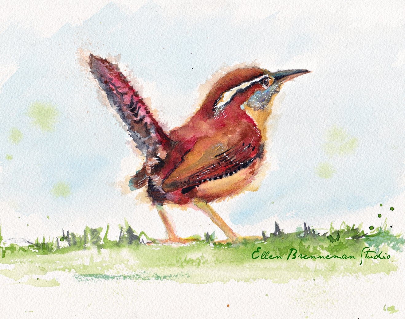 carolina-wren-watercolor-fine-art-print-bird-art-bird-wall