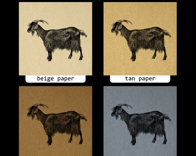 Antique Goat Animal Digital Printable Graphic Download Image Vintage Clip Art Jpg Png Eps HQ 300dpi No.516