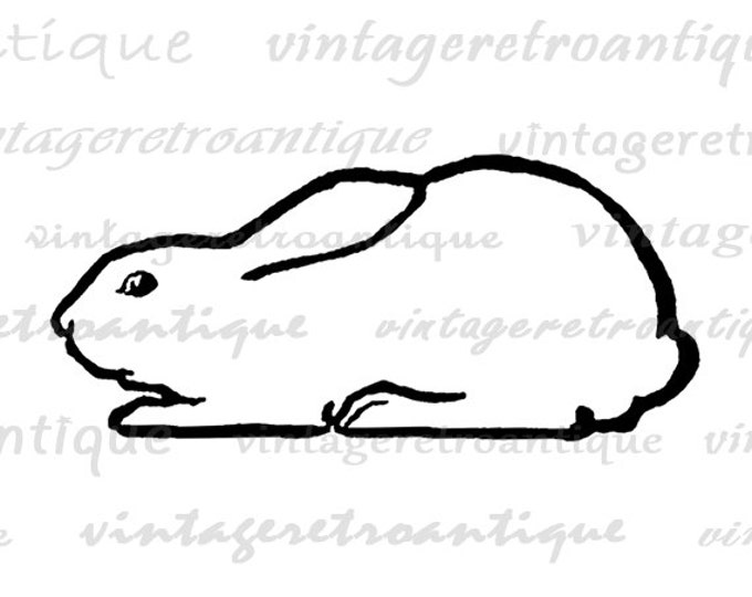 Digital Image Bunny Rabbit Graphic Illustration Printable Download Antique Clip Art Jpg Png Eps HQ 300dpi No.3291