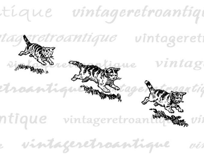 Printable Digital Three Kittens Image Cute Cat Download Illustration Graphic Vintage Clip Art Jpg Png Eps HQ 300dpi No.3579