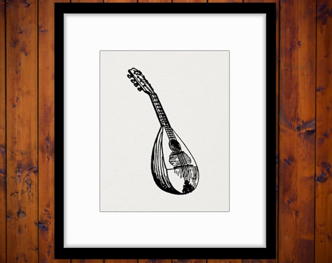 Digital Image Mandolin Graphic Antique Music Printable Download Illustration Vintage Clip Art for Transfers Printing etc HQ 300dpi No.3688