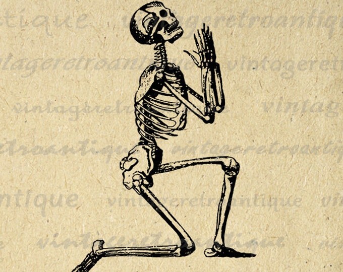 Digital Praying Skeleton Image Graphic Printable Illustration Download Antique Clip Art Jpg Png Eps HQ 300dpi No.3618