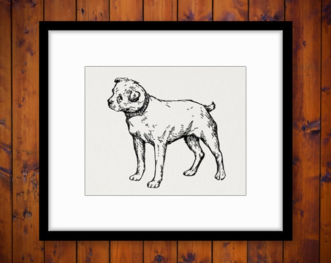 Dog Antique Graphic Digital Printable Download Image Jpg Png Eps HQ 300dpi No.280