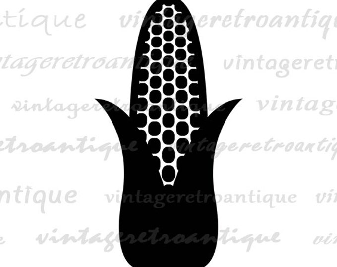 Corn Graphic Digital Image Corn on the Cob Printable Food Vegetable Crop Download Jpg Png Eps HQ 300dpi No.4404