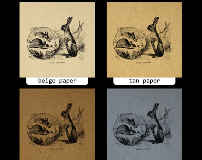 Printable Graphic Rabbits and Hares Image Easter Spring Digital Bunny Download Antique Clip Art Jpg Png Eps 18x18 HQ 300dpi No.628