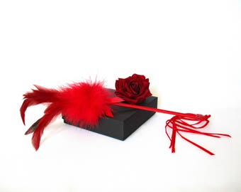 Red Feather Duster Caresses Feathers and Marabout