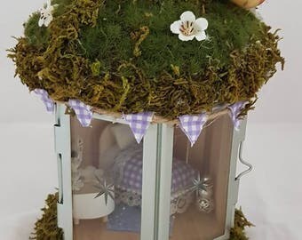 Fairy gardens lantern.