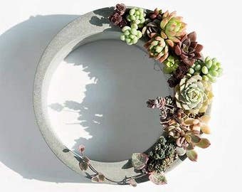 Crescent moon concrete succulents planter