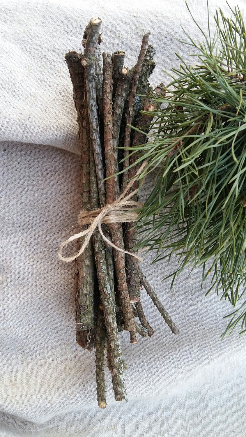 natural pine tree sticks wooden twigs wood branches by goodieshill