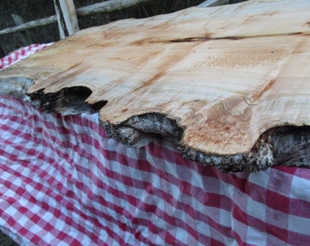 Live edge coffee table- #82, neat Maple Burl live edge with spaulting, figuring and really amazing burl live edge,Burl Coffee table top desk