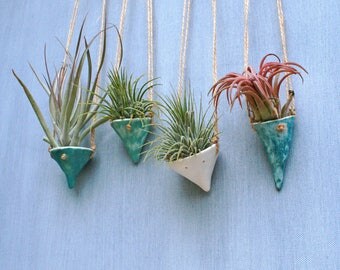 Pixie Pots air plant hangers/ ceramic planter/ tillandsia/ porcelain/ pastel shades/ home decor/ artful living/ boho/ sustainable gifts