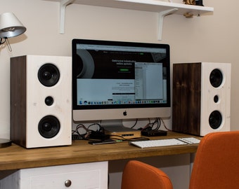 A pair of handmade Hi-Fi speakers
