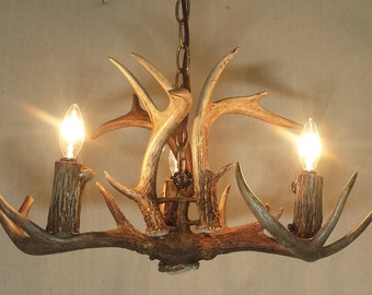 NEWLY CRAFTED!!! 3-Light Whitetail Deer Antler Chandelier (17-18" Dia. X 10-11" H.) Size: Small
