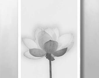 Floral Print, Wall Art, Wild Flower Print, Botanical Print, Vintage Wall Art, Black and White Print, Minimalist Print, Kitchen Wall Art