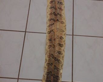 Rattle Snake Skin Cane break rattle snake