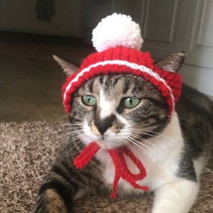 Cat Pirate Hat Knit Cat Hat Cat Halloween Costume Pet