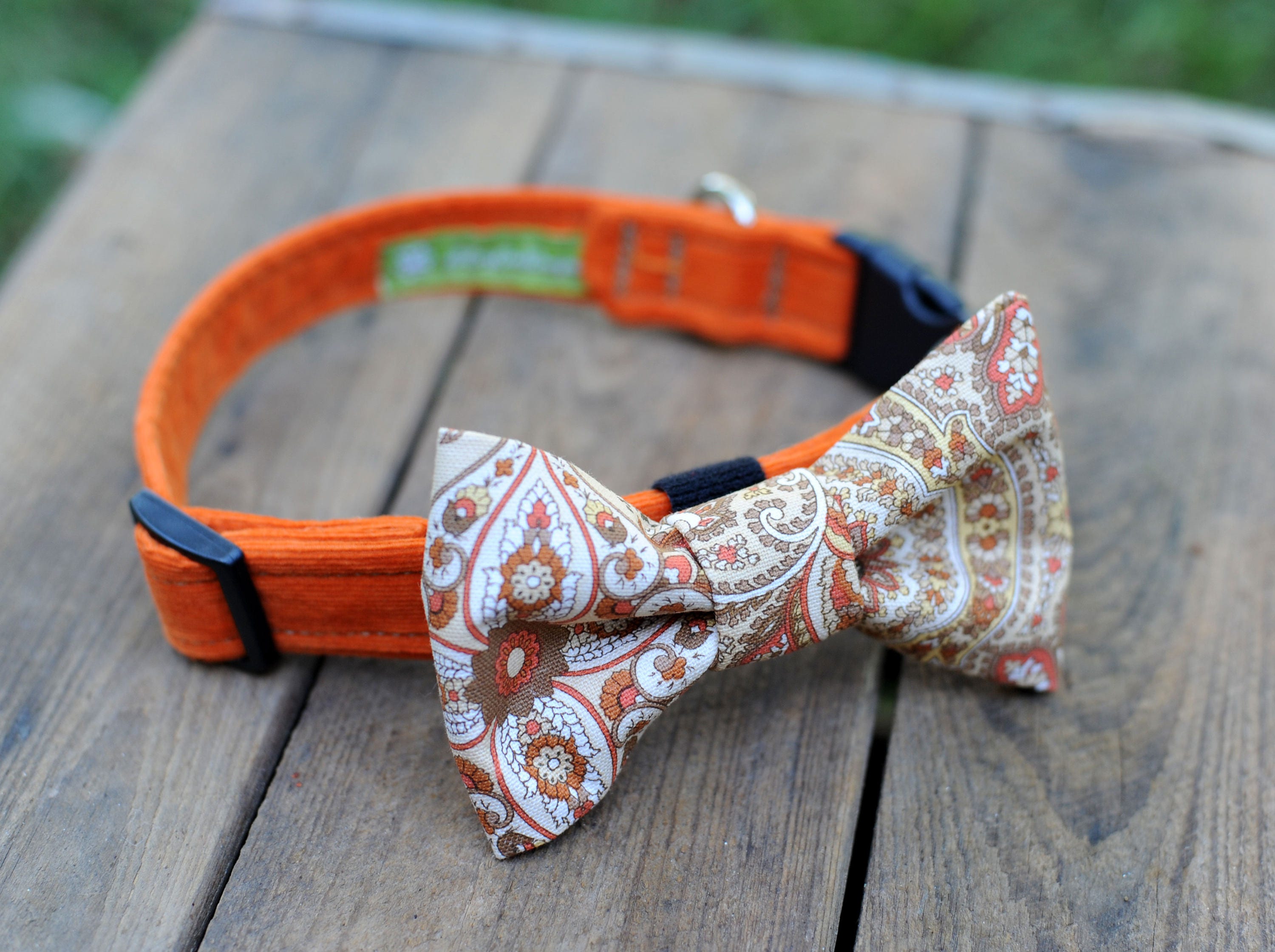 Limited Edition Dog Collar Set W/ Removable Bow Tie Fall