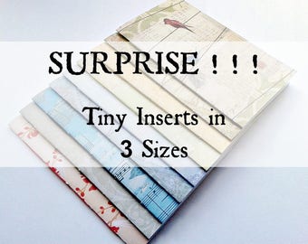 4 x TINY Traveler's Notebook Inserts - RANDOM SURPRISE Cover - Micro 4 x 2.75 - Micro Wide 4 x 3 - Nano 3.75 x 2.5 - Fauxdori - RM040B