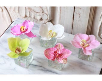 mini single bloom orchid in glass votive, mini phalenopsis bloom, single orchid bloom