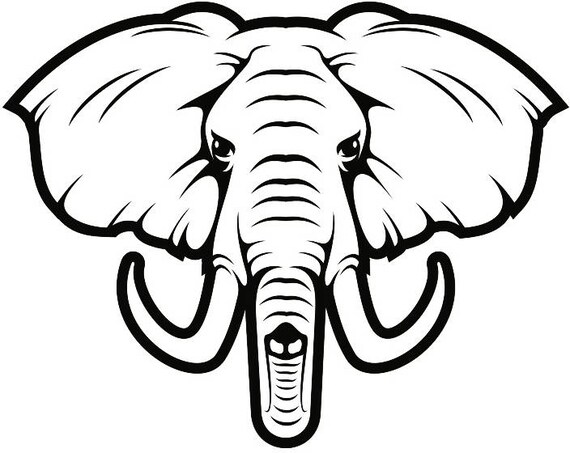 Download Elephant 2 Head Tusk Trunk Wild Wildlife African Animal Zoo