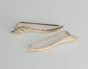 Fern leaf ear climber, curved ear crawler