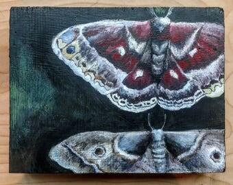 Two Moths - painting