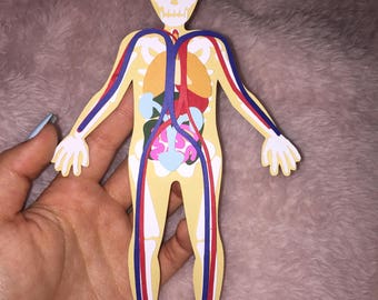 Human Body Embelishment