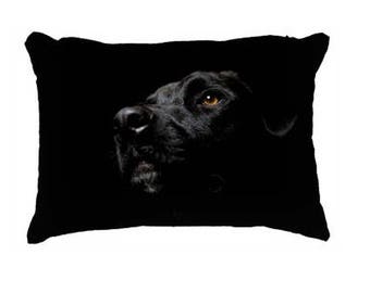 pillow with black lab