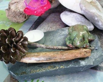 sculpture outside or inside of a frog in clay on Slate