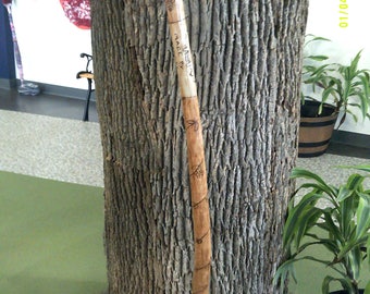Hand carved Walking Stick