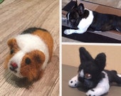 Custom Guinea Pig + Dog