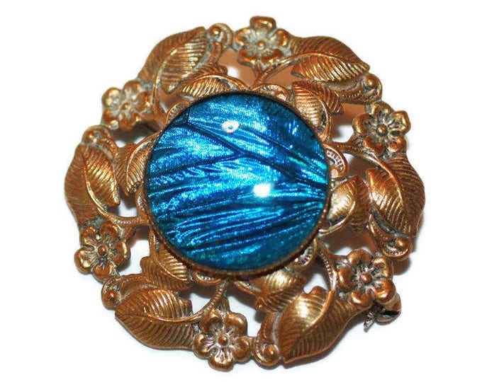 Morpho Butterfly Wing Brooch Brass Setting Floral Design Older