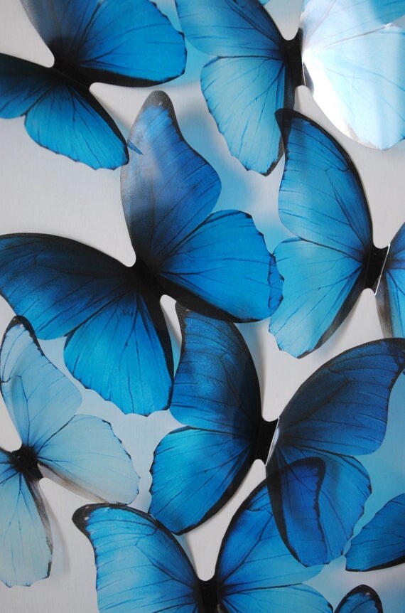 Frozen butterflies 3D blue transparent butterfly blue