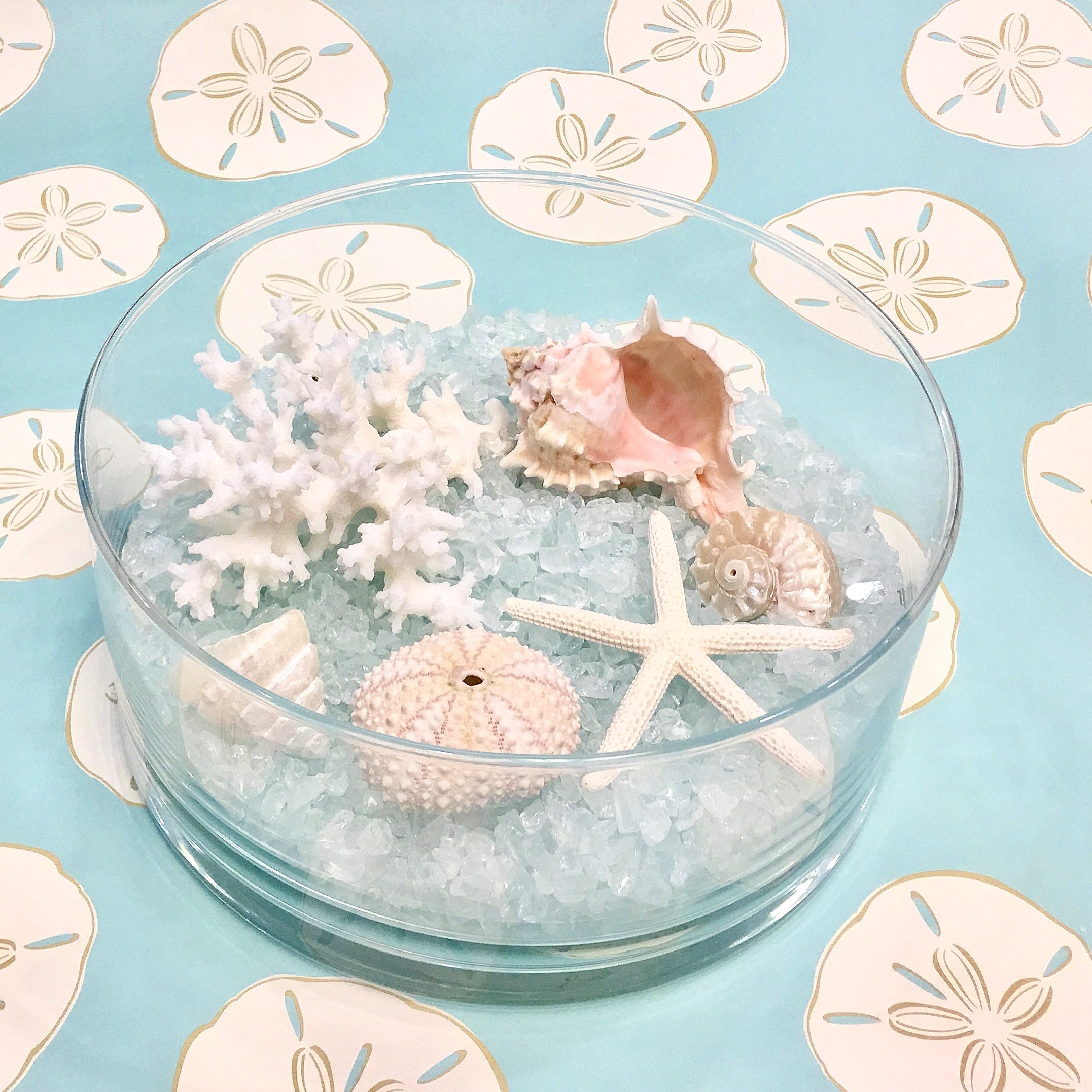 Beach Decor Glass Bowl with Natural Seashells Coral and