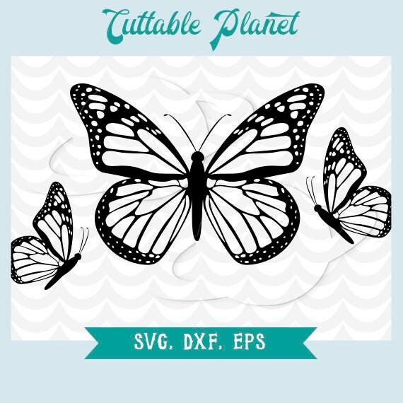 Free Free 173 Butterfly Svg Cut Files SVG PNG EPS DXF File