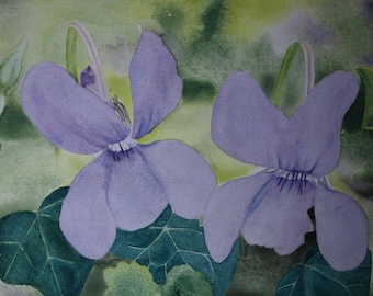 floral watercolor: duo of spring violets