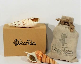 2-Piece Double Shell Pack (5 Options Available)