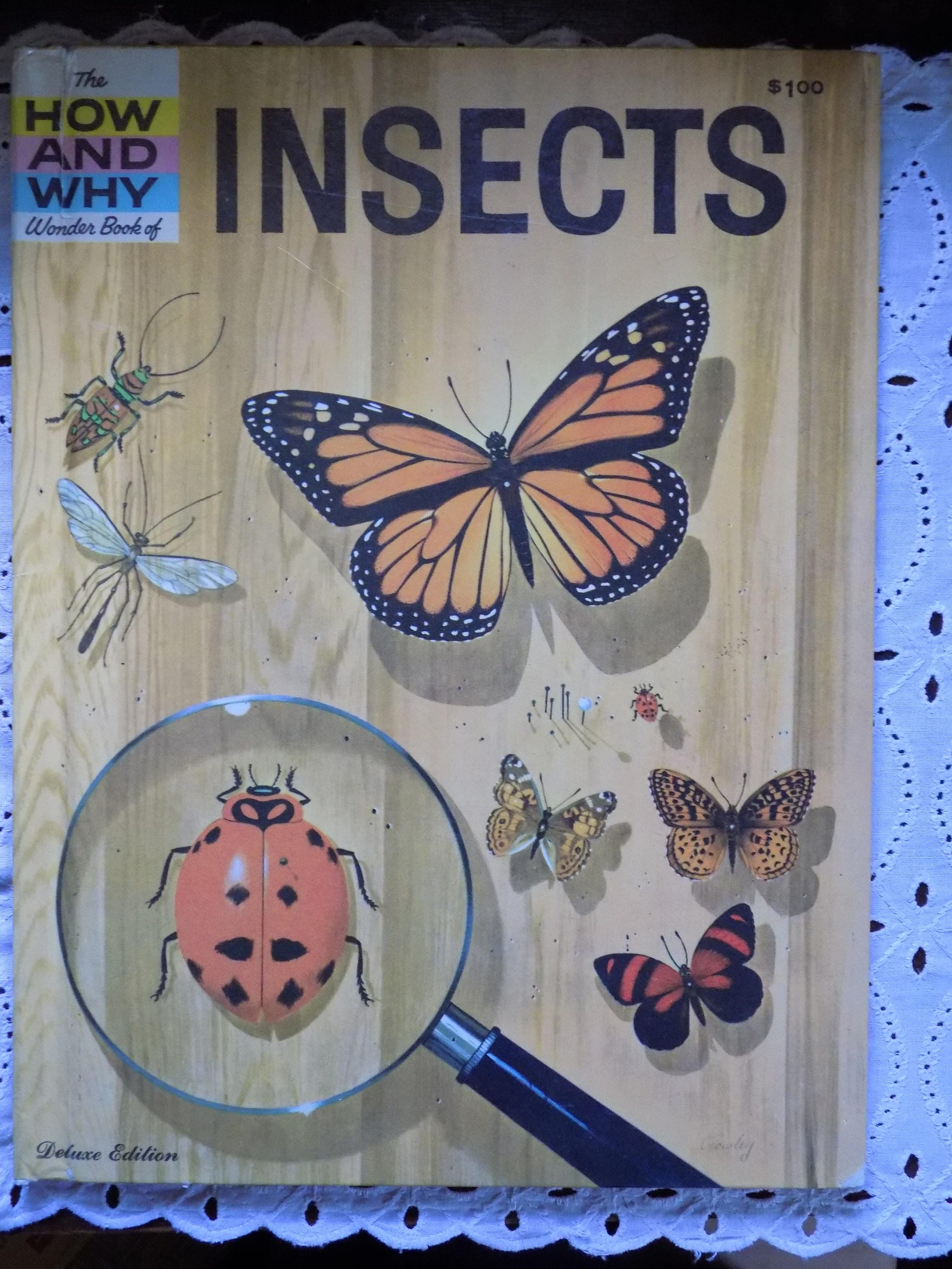 How And Why Wonder Book Of Insects Vintage Children S
