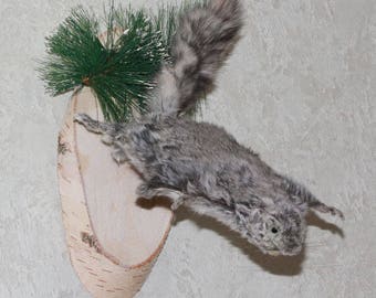 stuffed squirrel taxidermy for sale