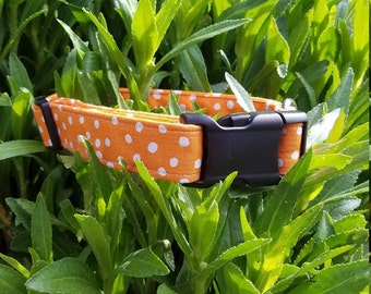 Orange with White Polkadots Dog Collar
