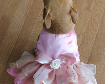 BIG DOG - Glamorous Musk Satin Doggy Dress main image 1