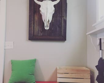 REAL buffalo skull, mounted and framed.