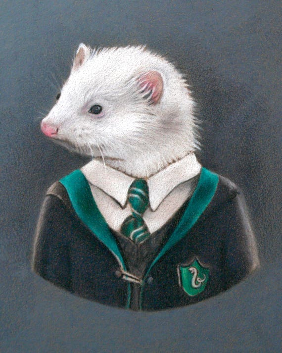 Draco Malfoy Ferret Art Print