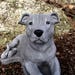 Boxer dog Concrete statues Statues of boxer dogs Boxer dog