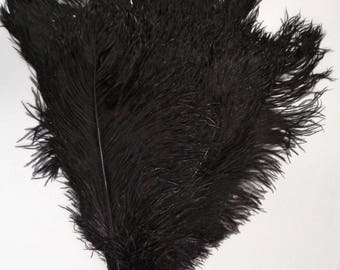 Black Ostrich Feathers 8-12 inch per 3