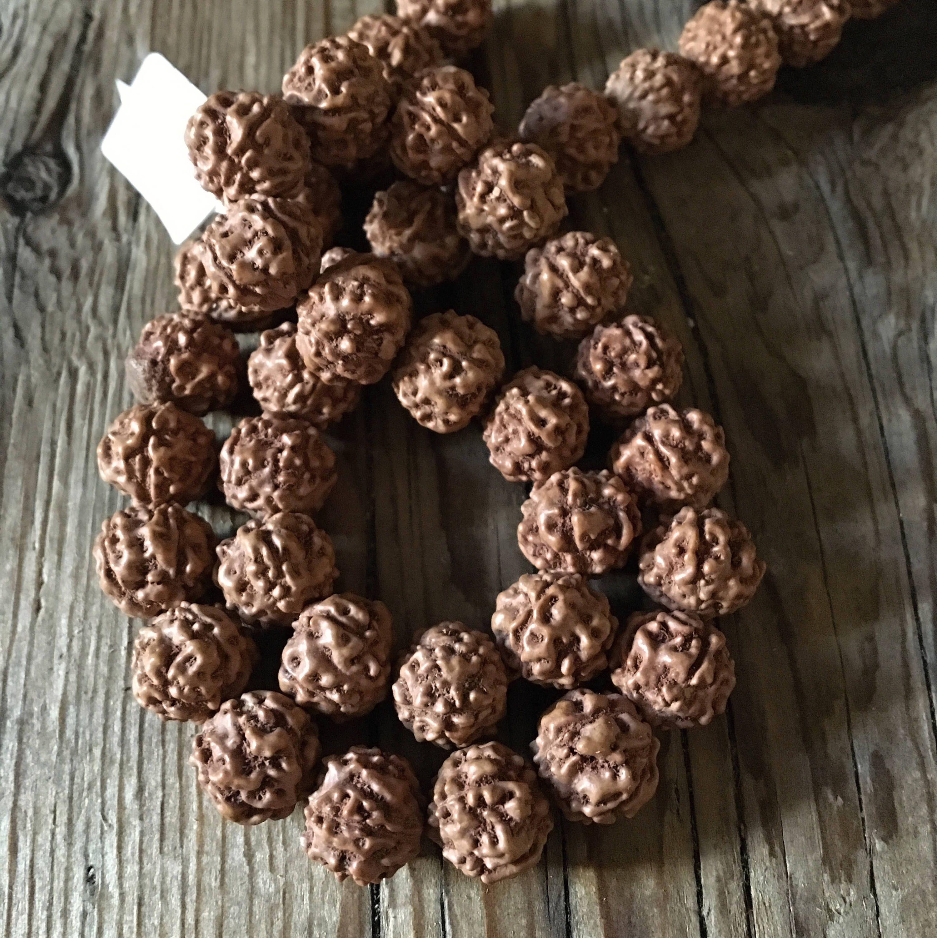 Rudraksha Hindu Prayer Beads Nut Beads Jumbo Super Cool