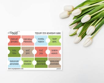 Planner Tabs - Melon Ice - 12 Monthly laminated self-adhesive - PERMANENT - sturdy tabs - January through December - divider tabs